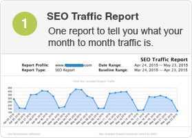 seo traffic report