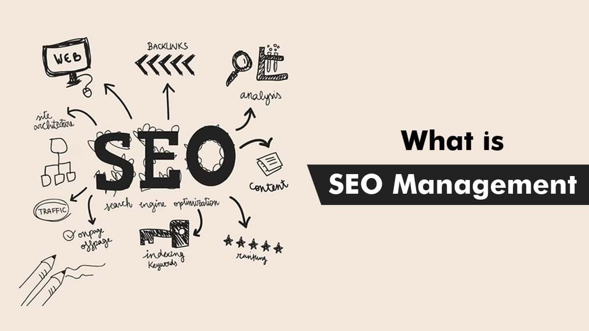 what is SEO Management